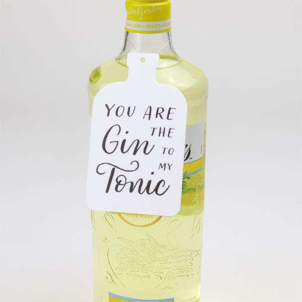 You Are The Gin To My Tonic Hanging Decoration