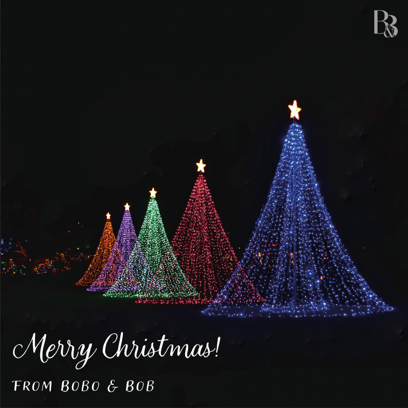 Merry Christmas From Bobo & Bob