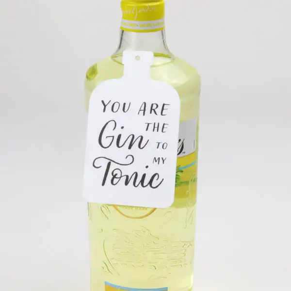 You Are The Gin To My Tonic Hanging Decoration