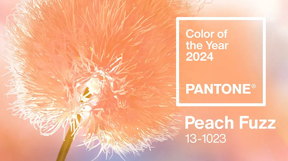 Colour of the Year 2024: Peach Fuzz